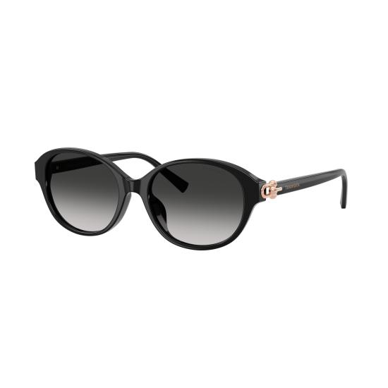 26SS 티파니앤코 선글라스 0TF4263D 80013C - TIFFANY & CO