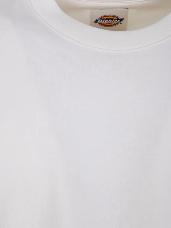 26SS 디키즈 반팔 티셔츠 DK0A87QEC481 C481 EGRET - DICKIES