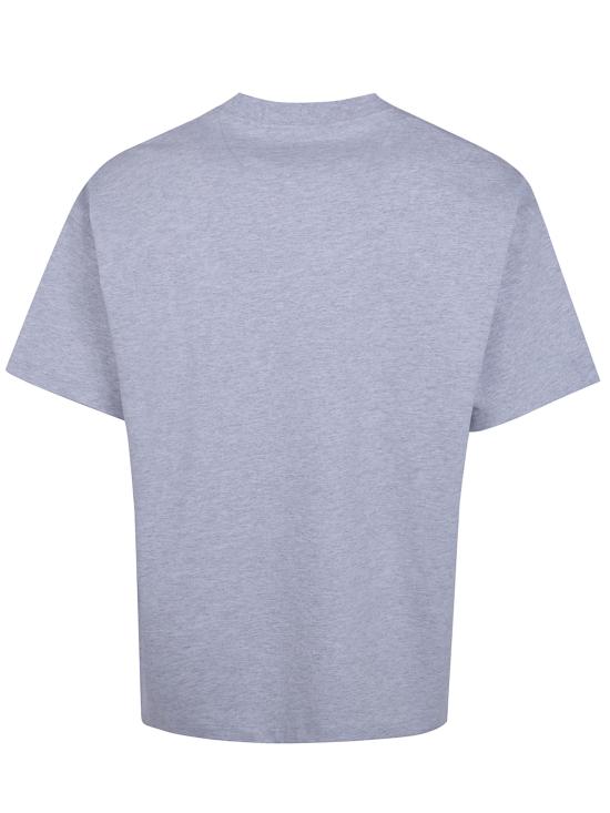 26SS 디키즈 반팔 티셔츠 DK0A87QEA281 A281 LIGHT GREY - DICKIES