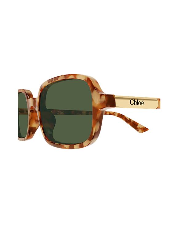 26SS 끌로에 선글라스 CH0363S 003 HAVANA HAVANA GREEN BROWN - CHLOE