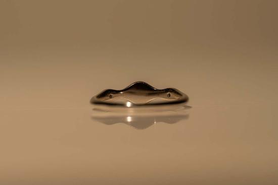  Milk & Rose 반지 내 가게 Silvie Moonstone - OTHER BRANDS