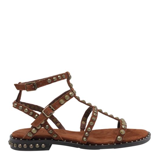 26SS 아쉬 샌들 PRECIOUS 06 Brown