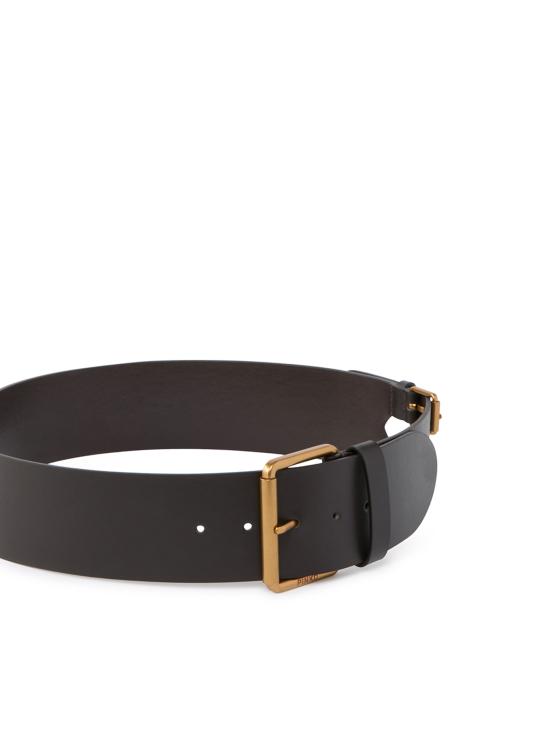 26SS 핑코 레귤러 벨트 106647 A1ACM11Q Brown - PINKO