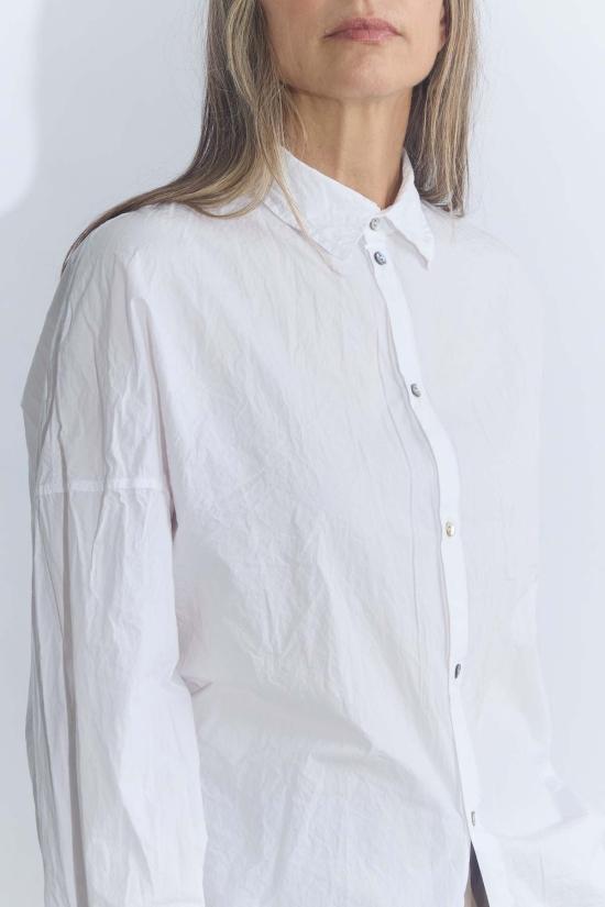  앨범 디 파밀리아 셔츠 앨범 Di Famiglia 유니섹스 칼라 셔츠 Tc - ALBUM DI FAMIGLIA