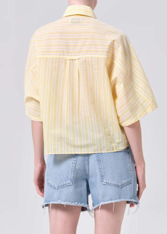  에이골디 셔츠 Agolde Merrin 셔츠 Wirrel 스트라이프 - AGOLDE