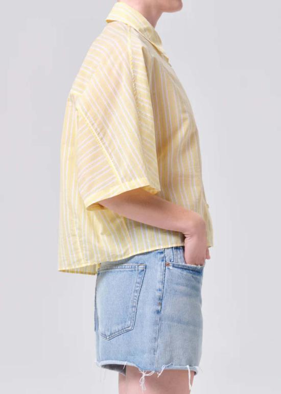  에이골디 셔츠 Agolde Merrin 셔츠 Wirrel 스트라이프 - AGOLDE