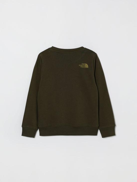 26SS [키즈] 노스페이스 풀오버 NF0A8AXX 21L1 Green - NORTH FACE