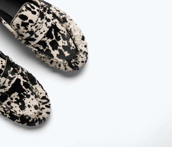  프레다 살바도르 로퍼 시드니 러플 페니 - FREDA SALVADOR