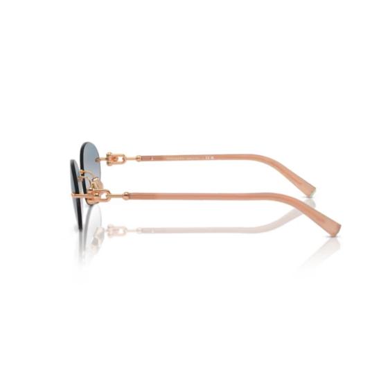 26SS 티파니앤코 선글라스 0Tf3104d 타원형 - TIFFANY & CO