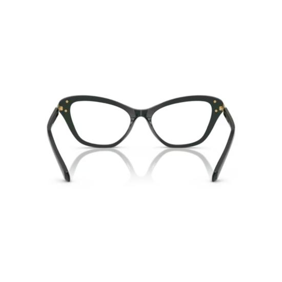 26SS 스와로브스키 안경 0Sk2031 캣아이 아세테이트 - SWAROVSKI