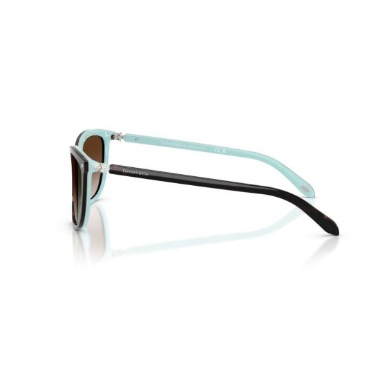 26SS 티파니앤코 선글라스 0Tf4105hb 캣아이  (유광 아세테이트 소재) - TIFFANY & CO