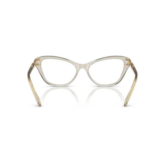 26SS 스와로브스키 안경 0Sk2031 반투명 아세테이트 캣아이 오버사이즈 - SWAROVSKI