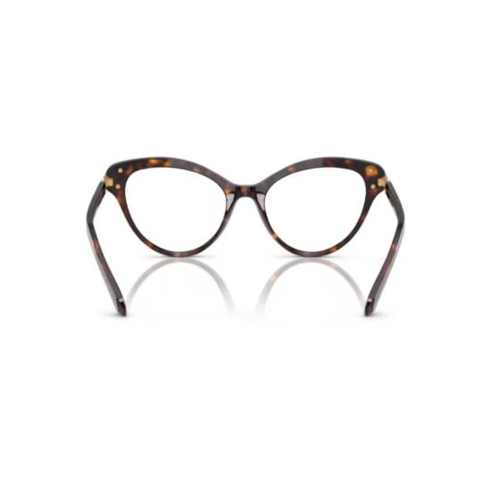 26SS 스와로브스키 안경 0Sk2030 캣아이 호피무늬 아세테이트 - SWAROVSKI