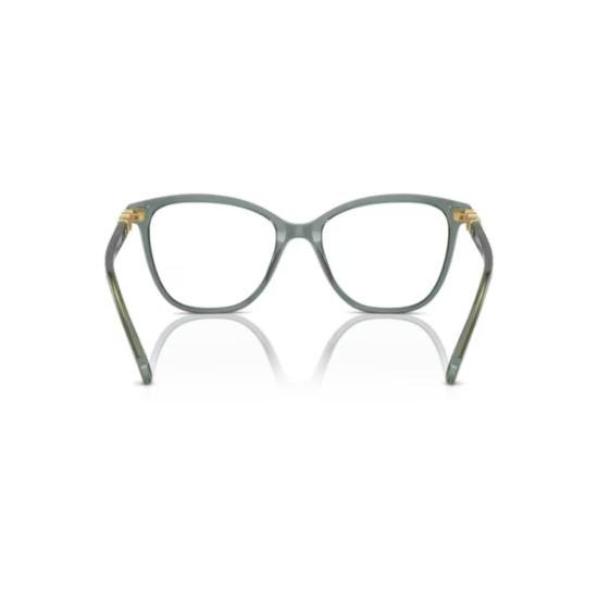 26SS 스와로브스키 안경 0Sk2020 반투명 녹색 아세테이트 캣아이 안경 - SWAROVSKI