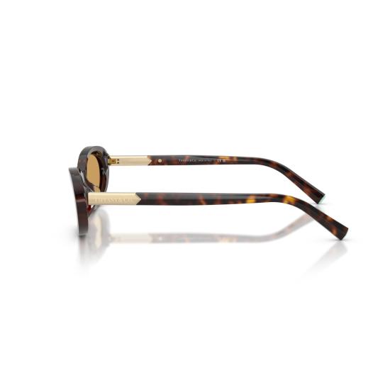 26SS 티파니앤코 선글라스 0Tf4250 타원형 호피무늬 - TIFFANY & CO