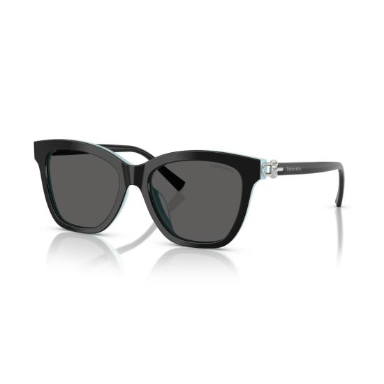 26SS 티파니앤코 선글라스 0Tf4241d 캣아이 - TIFFANY & CO
