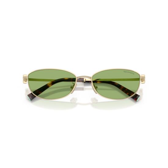 26SS 티파니앤코 선글라스 0Tf3115 직사각형 골드톤 스틸 - TIFFANY & CO