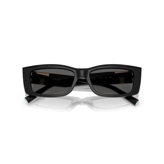 26SS 티파니앤코 선글라스 0Tf4240u 직사각형 - TIFFANY & CO