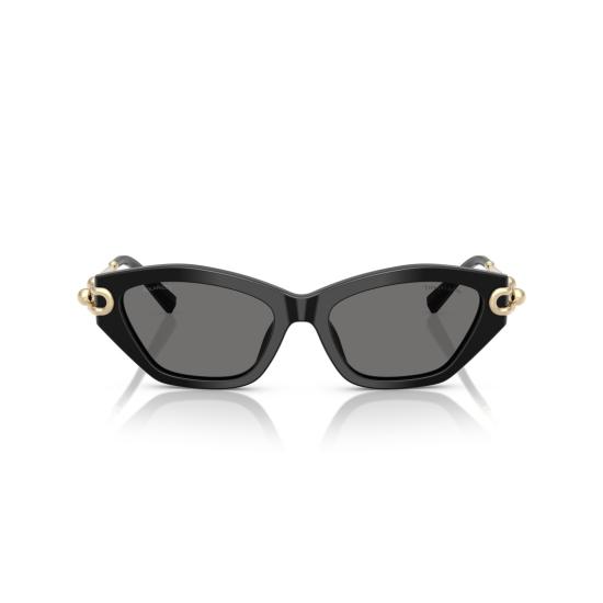 26SS 티파니앤코 선글라스 0Tf4231u 캣아이