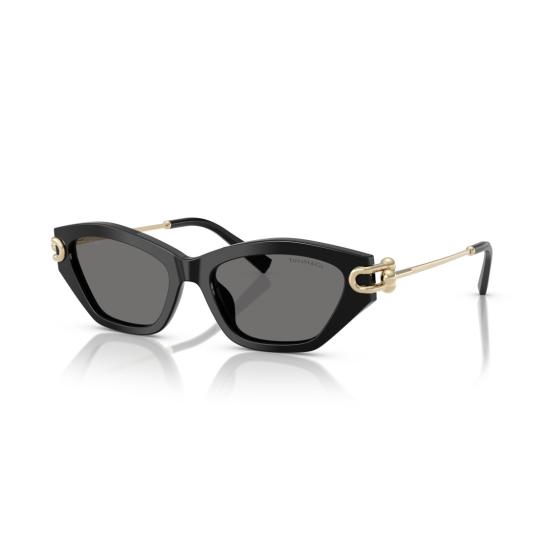 26SS 티파니앤코 선글라스 0Tf4231u 캣아이 - TIFFANY & CO