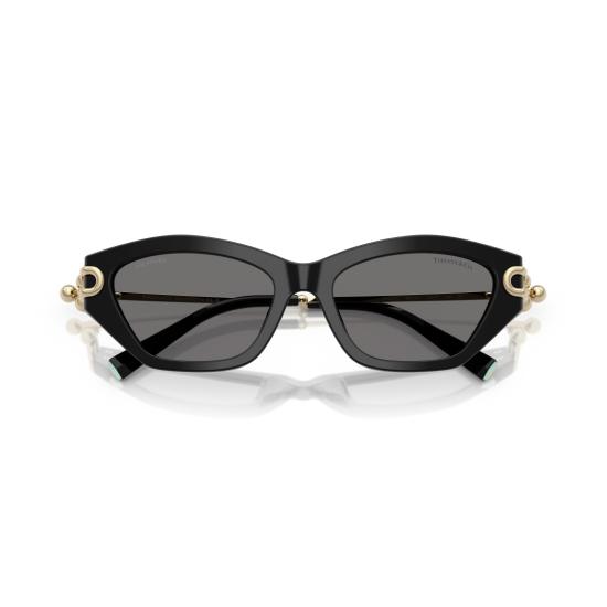 26SS 티파니앤코 선글라스 0Tf4231u 캣아이 - TIFFANY & CO