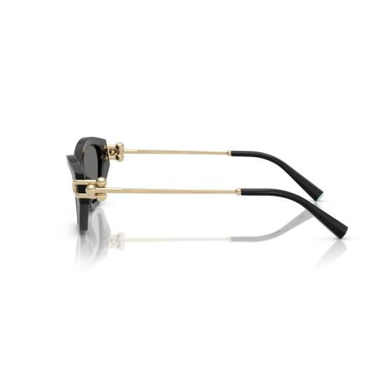 26SS 티파니앤코 선글라스 0Tf4231u 캣아이 - TIFFANY & CO