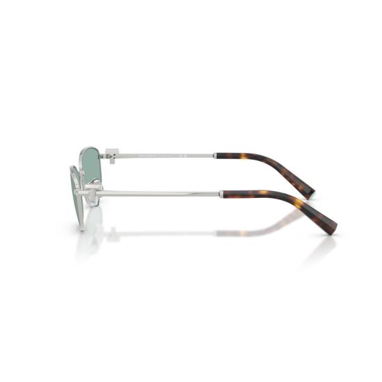 26SS 티파니앤코 선글라스 0Tf3115 타원형 스틸 - TIFFANY & CO