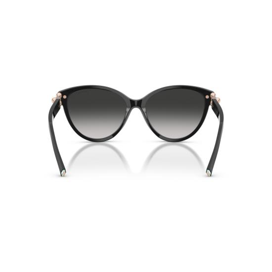 26SS 티파니앤코 선글라스 0Tf4261 캣아이 - TIFFANY & CO