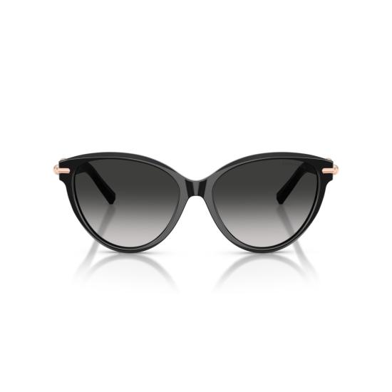 26SS 티파니앤코 선글라스 0Tf4261 캣아이