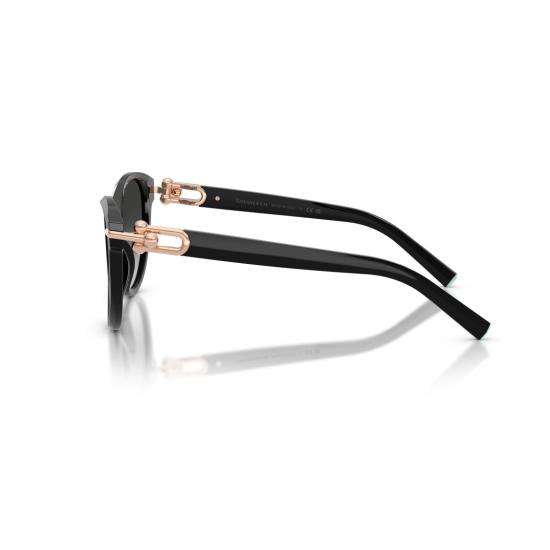 26SS 티파니앤코 선글라스 0Tf4261 캣아이 - TIFFANY & CO