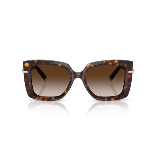 26SS 티파니앤코 선글라스 0Tf4199 오버사이즈 호피무늬 사각