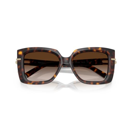 26SS 티파니앤코 선글라스 0Tf4199 오버사이즈 호피무늬 사각 - TIFFANY & CO
