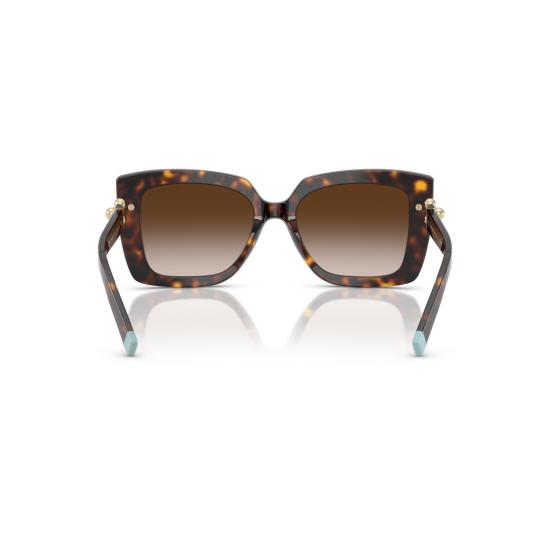 26SS 티파니앤코 선글라스 0Tf4199 오버사이즈 호피무늬 사각 - TIFFANY & CO