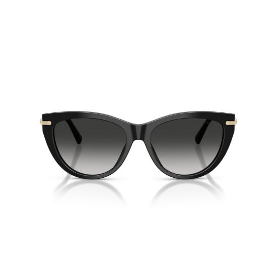 26SS 티파니앤코 선글라스 0Tf4253 캣아이 - TIFFANY & CO