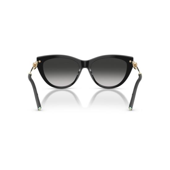 26SS 티파니앤코 선글라스 0Tf4253 캣아이 - TIFFANY & CO