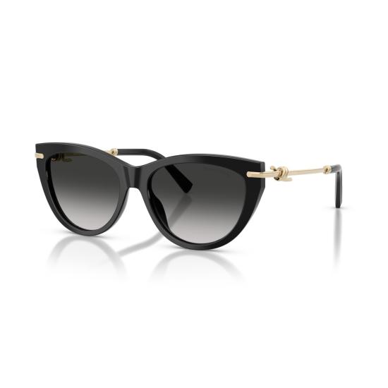 26SS 티파니앤코 선글라스 0Tf4253 캣아이 - TIFFANY & CO