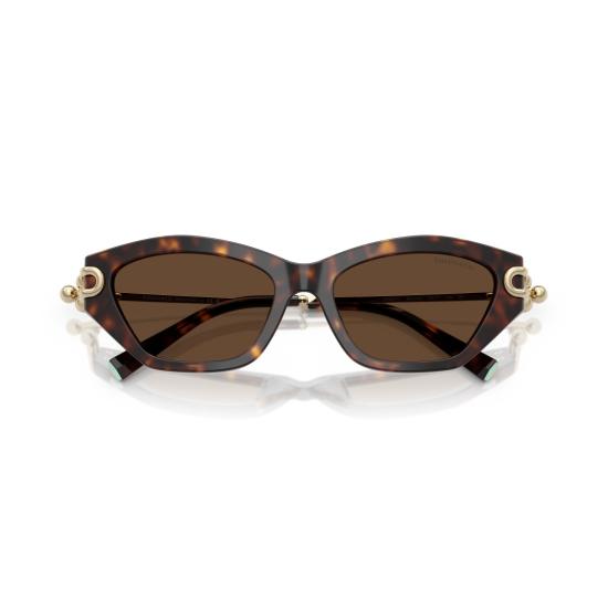 26SS 티파니앤코 선글라스 0Tf4231u 캣아이  (호피 무늬 아세테이트 소재) - TIFFANY & CO