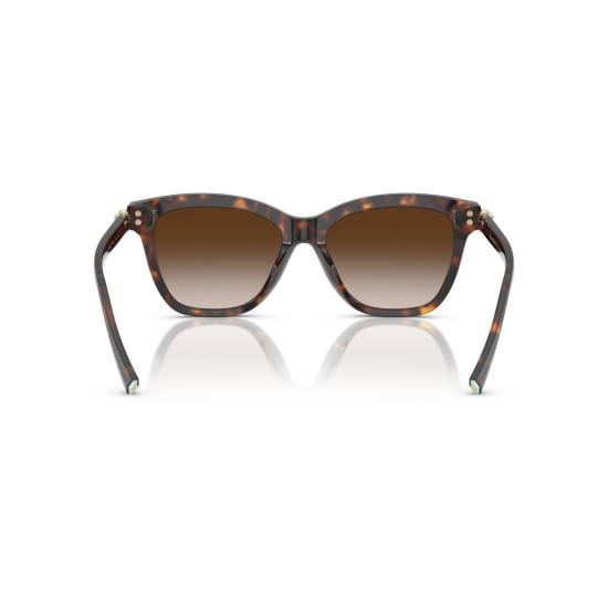 26SS 티파니앤코 선글라스 0Tf4241d 오버사이즈 스퀘어 프레임 호피무늬 - TIFFANY & CO