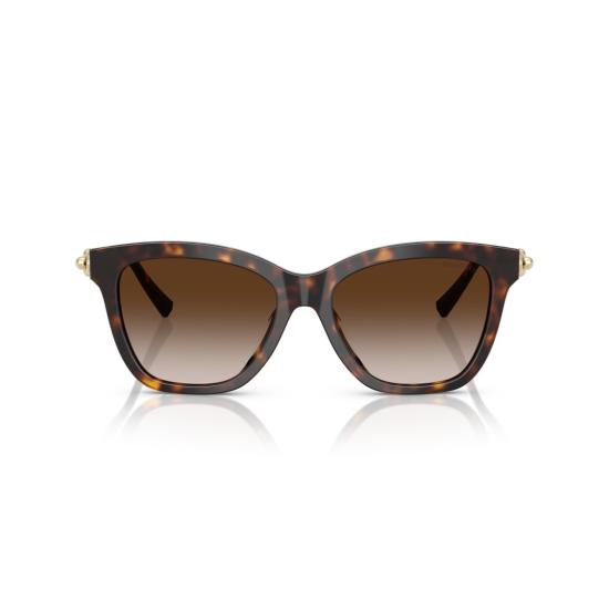 26SS 티파니앤코 선글라스 0Tf4241d 오버사이즈 스퀘어 프레임 호피무늬