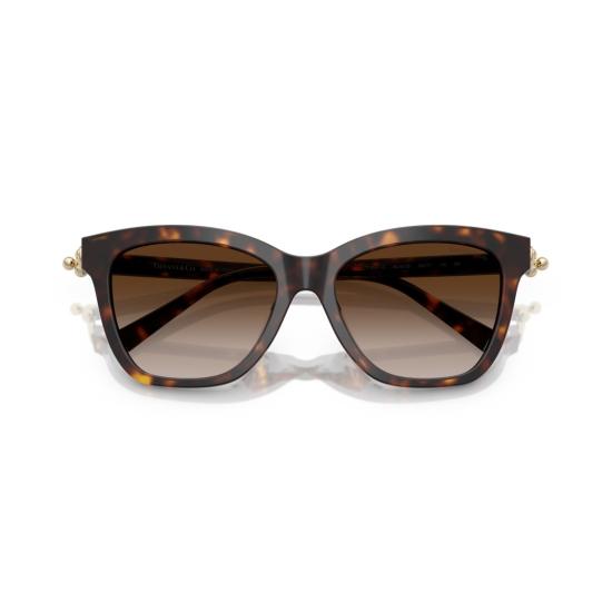 26SS 티파니앤코 선글라스 0Tf4241d 오버사이즈 스퀘어 프레임 호피무늬 - TIFFANY & CO