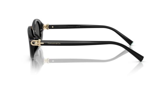 26SS 티파니앤코 선글라스 0Tf4242d 대형 원형 블랙 아세테이트 - TIFFANY & CO
