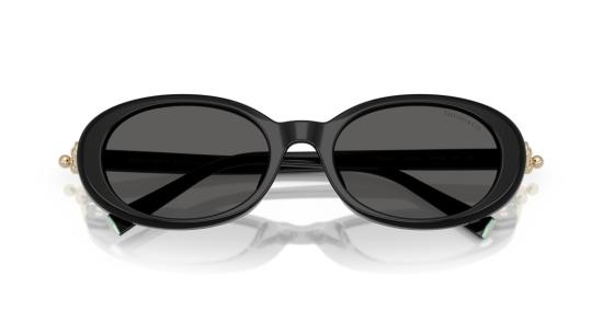 26SS 티파니앤코 선글라스 0Tf4242d 대형 원형 블랙 아세테이트 - TIFFANY & CO