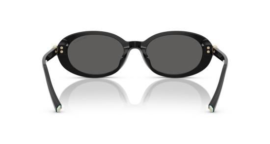 26SS 티파니앤코 선글라스 0Tf4242d 대형 원형 블랙 아세테이트 - TIFFANY & CO