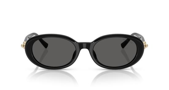 26SS 티파니앤코 선글라스 0Tf4242d 대형 원형 블랙 아세테이트