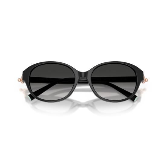 26SS 티파니앤코 선글라스 0Tf4263d 둥근 블랙 아세테이트 - TIFFANY & CO