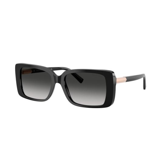 26SS 티파니앤코 선글라스 0Tf4249 직사각형 프레임 - TIFFANY & CO