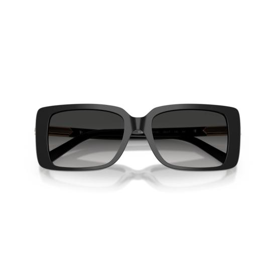 26SS 티파니앤코 선글라스 0Tf4249 직사각형 프레임 - TIFFANY & CO