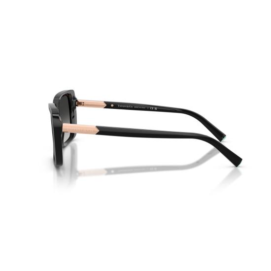 26SS 티파니앤코 선글라스 0Tf4249 직사각형 프레임 - TIFFANY & CO