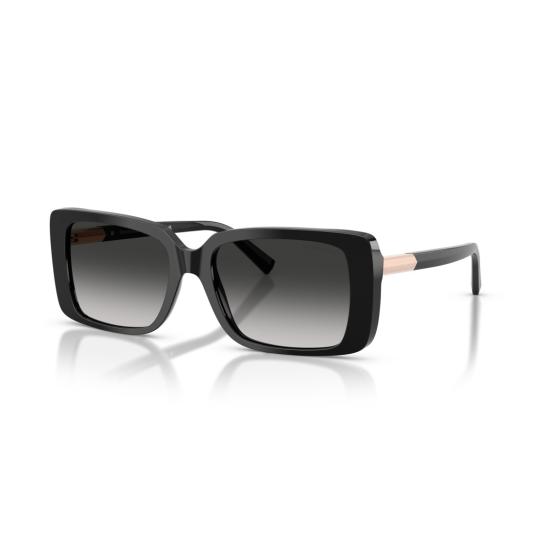 26SS 티파니앤코 선글라스 0Tf4249 직사각형 프레임 - TIFFANY & CO