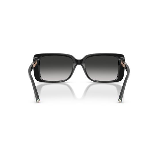 26SS 티파니앤코 선글라스 0Tf4249 직사각형 프레임 - TIFFANY & CO